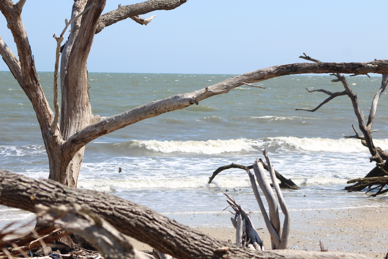 Illustration for article titled I Went to Botany Bay Plantation Yesterday